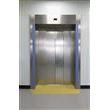 Pegasus door Royal Gwent Hospital_3